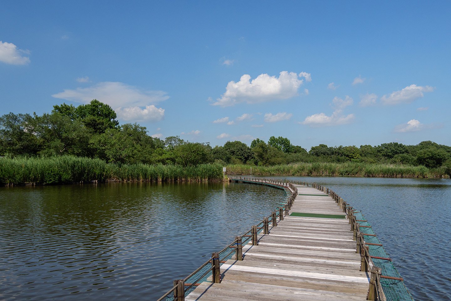 🏞️ 하뉴 수향 공원 이미지 8